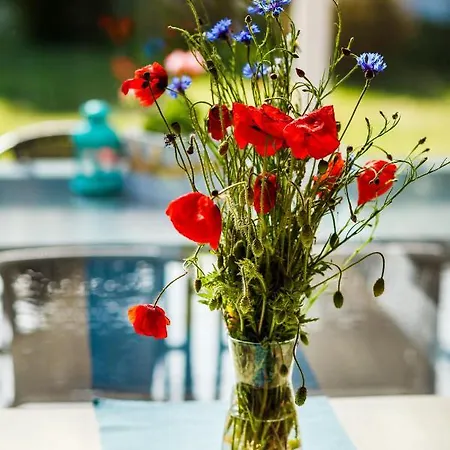 Letnisko Vakantiehuis