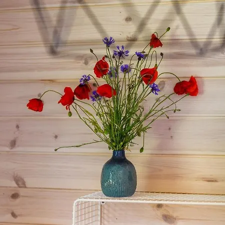 Letnisko Vakantiehuis *