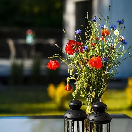 Letnisko Vakantiehuis