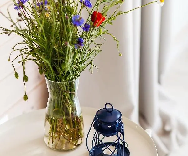 Letnisko Сasa de vacaciones *