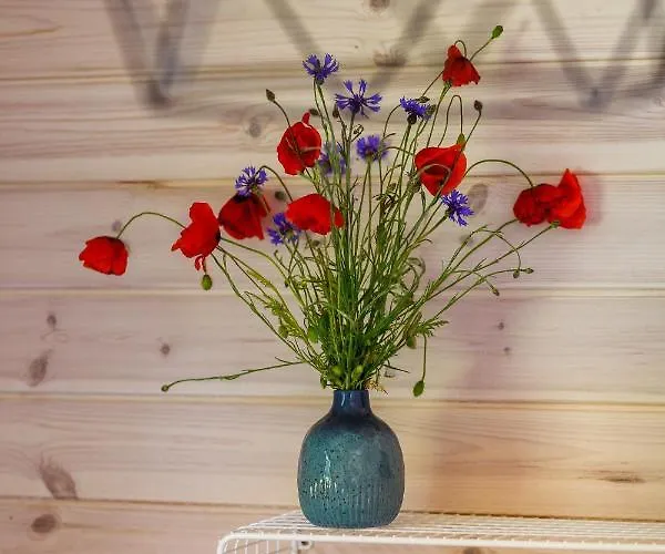 Letnisko Сasa de vacaciones *