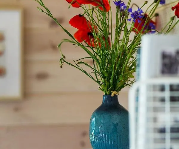 Сasa de vacaciones Letnisko